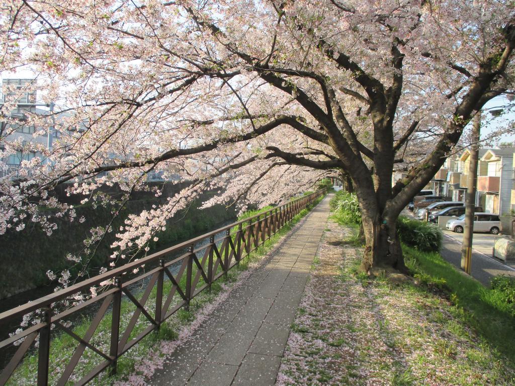 Apartment Estate Tokyu Nishikyogoku