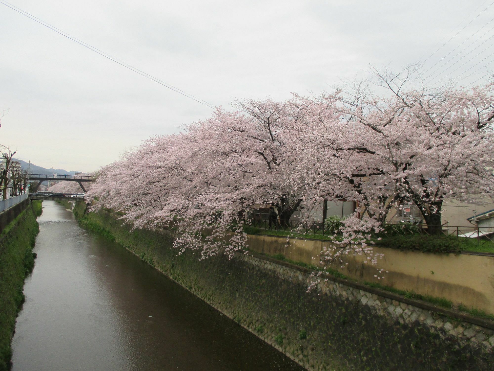 Estate Tokyu Nishikyogoku *